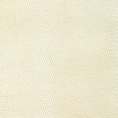 Kravet Design Atacama Coconut - Indoor Upholstery Fabric