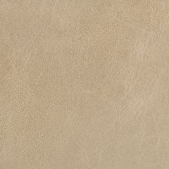 Kravet Basics L-Beaumont Oatmeal  Indoor Upholstery Fabric