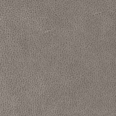 Kravet Design Bison Armor - Indoor Upholstery Fabric