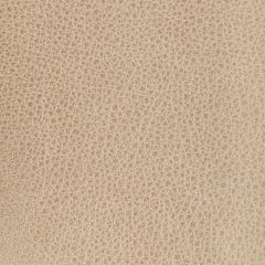 Kravet Design Bison Oat - Indoor Upholstery Fabric