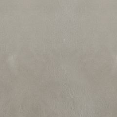 Kravet Design Bota Silver - Indoor Upholstery Fabric