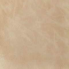 Kravet Design Brantley Sand Indoor Upholstery Fabric