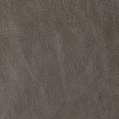 Kravet Design Brantley Smoke Indoor Upholstery Fabric