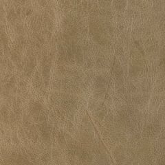 Kravet Design Brantley Tan Indoor Upholstery Fabric