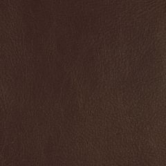 Kravet Design Cannon Hickory - Indoor Upholstery Fabric