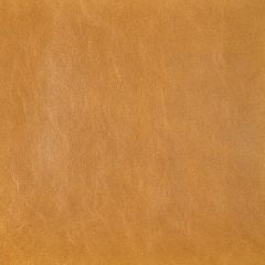 Kravet Design Cannon Ochre - Indoor Upholstery Fabric