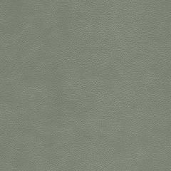Kravet Design L-Cimarron Elephant Bleach Cleanable Leather Collection Indoor Upholstery Fabric