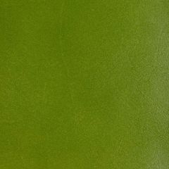 Kravet Design Coffer Lime - Indoor Upholstery Fabric