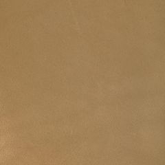 Kravet Design Coiro Camel - Indoor Upholstery Fabric