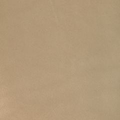 Kravet Design Coiro Tan - Indoor Upholstery Fabric