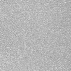 Kravet Design Conchas Silver - Indoor Upholstery Fabric