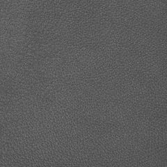 Kravet Design Conchas Steel - Indoor Upholstery Fabric