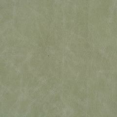 Kravet Design L-Cuero Eucalyptus Museum Of New Mexico Collection Indoor Upholstery Fabric