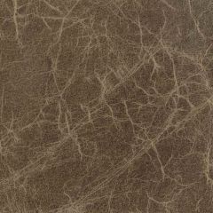 Kravet Design De Baca Stone - Indoor Upholstery Fabric