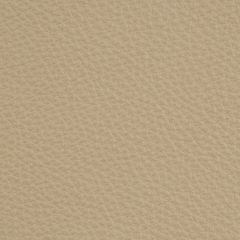 Kravet Design L-Deluxe Grey Taupe  Indoor Upholstery Fabric