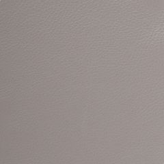 Kravet Design L-Deluxe Silver Indoor Upholstery Fabric
