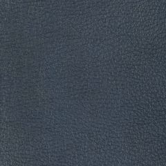 Kravet Design Desert Admiral - Indoor Upholstery Fabric