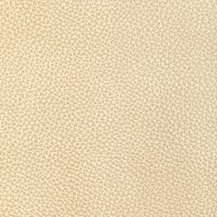 Kravet Design Dixie Champagne - Indoor Upholstery Fabric