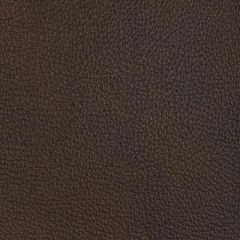 Kravet Design El Cerro Espresso - Indoor Upholstery Fabric