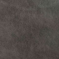 Kravet Design Esquites Lead - Indoor Upholstery Fabric