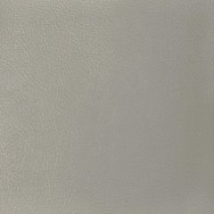 Kravet Design Glisten Nickel - Indoor Upholstery Fabric