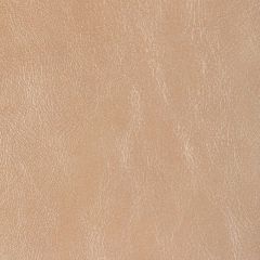 Kravet Design Glisten Nude - Indoor Upholstery Fabric