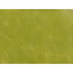 Kravet Couture L-Haute Chartreuse  Indoor Upholstery Fabric