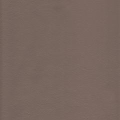 Kravet Design L-Howdy Dolphin Bleach Cleanable Leather Collection Indoor Upholstery Fabric