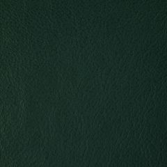 Kravet Design Howdy Emerald Bleach Cleanable Leather II Collection Indoor Upholstery Fabric