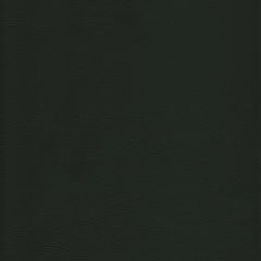Kravet Design L-Howdy Evergreen Bleach Cleanable Leather Collection Indoor Upholstery Fabric