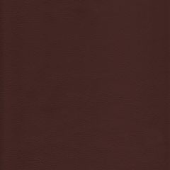Kravet Design L-Howdy Latte Bleach Cleanable Leather Collection Indoor Upholstery Fabric