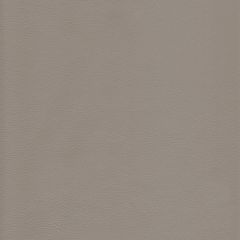 Kravet Design L-Howdy Slate Bleach Cleanable Leather Collection Indoor Upholstery Fabric