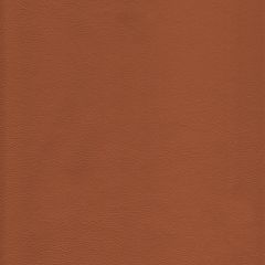 Kravet Design L-Howdy Toffee Bleach Cleanable Leather Collection Indoor Upholstery Fabric