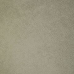 Kravet Design Laramie Eggshell Bleach Cleanable Leather II Collection Indoor Upholstery Fabric