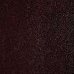 Kravet Design Laramie Lacquer Bleach Cleanable Leather II Collection Indoor Upholstery Fabric