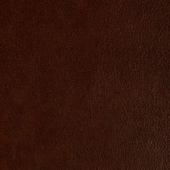 Kravet Design Laramie Tawny Bleach Cleanable Leather II Collection Indoor Upholstery Fabric