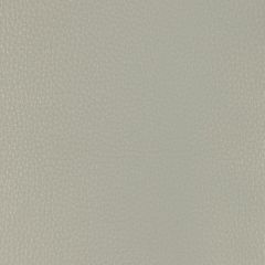 Kravet Design Malpais Stone - Indoor Upholstery Fabric