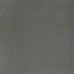 Kravet Design Manta Iron - Indoor Upholstery Fabric