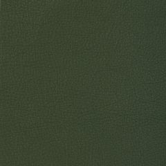 Kravet Design Manzano Sage - Indoor Upholstery Fabric