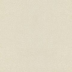 Kravet Design Mesquite Pearl - Indoor Upholstery Fabric