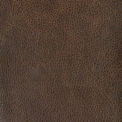 Kravet Design Nambe Cocoa - Indoor Upholstery Fabric