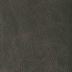 Kravet Design Nambe Slate - Indoor Upholstery Fabric