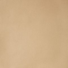 Kravet Design Namib Sand - Indoor Upholstery Fabric