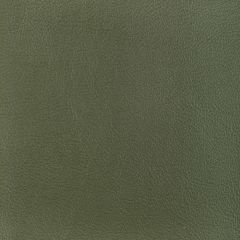 Kravet Design Ocotillo Hunter - Indoor Upholstery Fabric