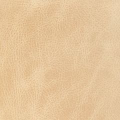 Kravet Design Ope Latte - Indoor Upholstery Fabric