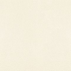 Kravet Design Perl Ivory - Indoor Upholstery Fabric