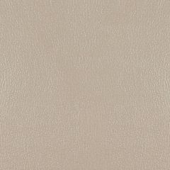 Kravet Design Perl Stone Indoor Upholstery Fabric