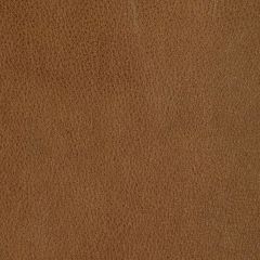 Kravet Design Rein Chai - Indoor Upholstery Fabric
