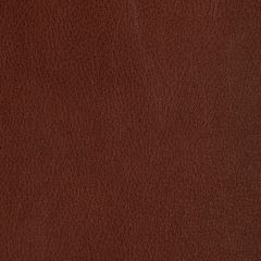 Kravet Design Rein Maple - Indoor Upholstery Fabric