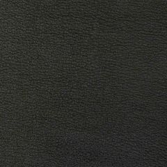 Kravet Design Sonoran Charcoal - Indoor Upholstery Fabric
